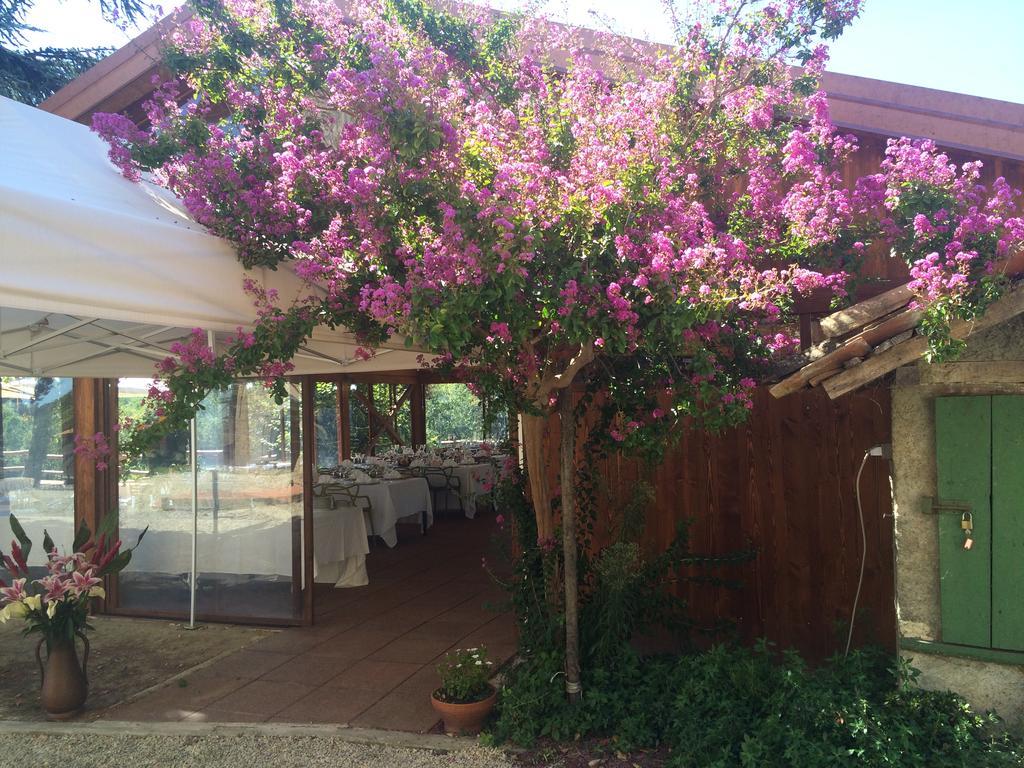Agriturismo Ristorante Albachiara Villa Carpeneto Exterior foto